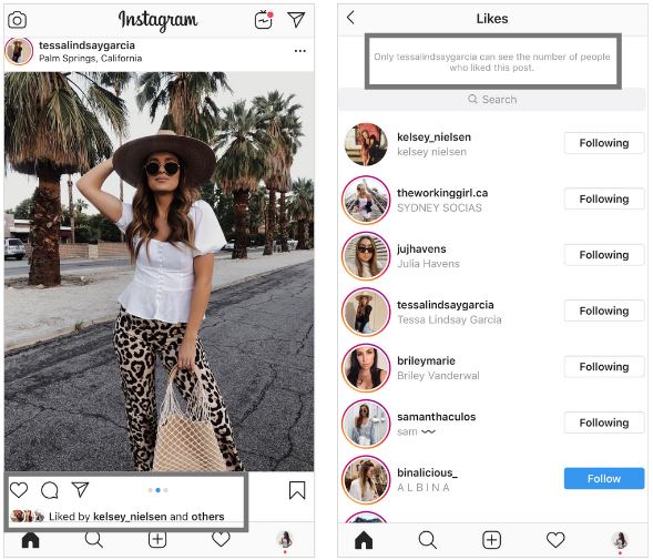 instagram-private-likes