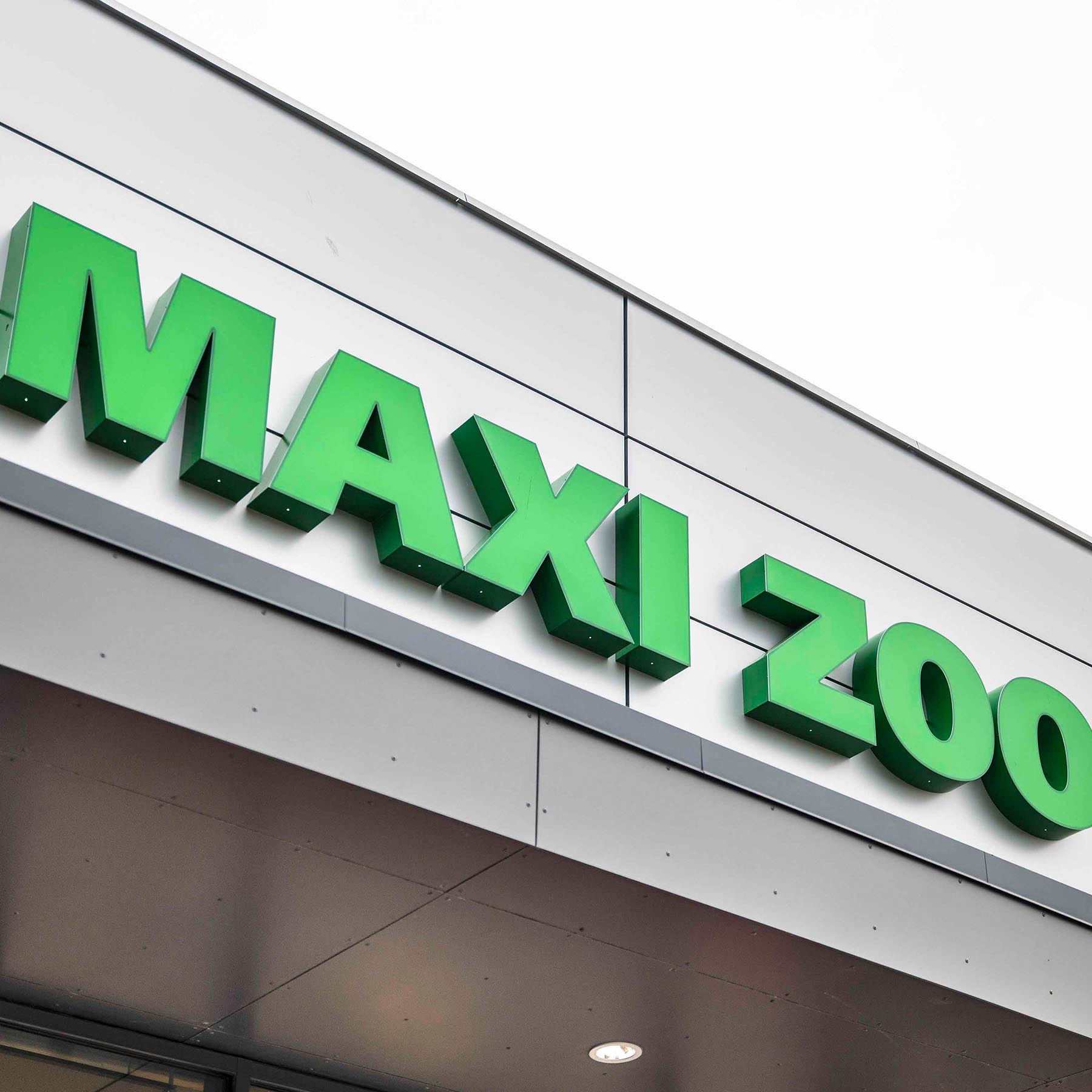 Faceskilt grønt hos maxi zoo