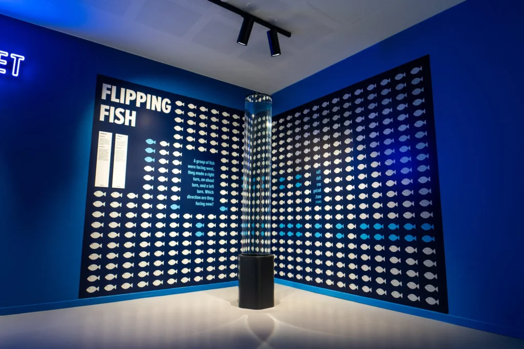 museum-of-illusions-galleri-7-1024x683